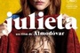 Affiche du film Julieta 