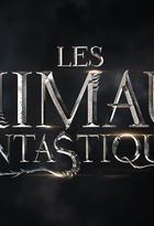 Affiche miniature du film Les Animaux Fantastiques 2
