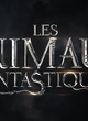 Affiche du film Les Animaux Fantastiques 2 