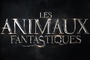 Affiche du film Les Animaux Fantastiques 2 