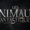 Affiche du film Les Animaux fantastiques 3  - Les Animaux fantastiques 3 