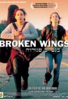 Affiche miniature du film Broken Wings