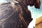 affiche promotionnelle 8