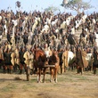 armee de troie