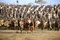 armee de troie