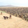la guerre de troie