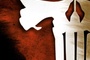 Affiche du film The Punisher