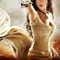affiche-teaser-2-jpg - La légende de Zorro 