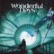Affiche du film Wonderful days - Wonderful days 