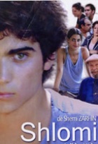 Affiche miniature du film Bonjour Monsieur Shlomi