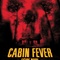 Affiche du film Cabin Fever - Cabin Fever 