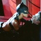 catwoman halle berry en colere apres lambert wilson - Catwoman - Catwoman 