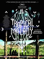 Affiche du film Tropical Malady