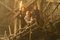 jon voight sean bean