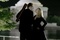 nicolas cage diane kruger
