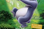 Affiche du film Le livre de la jungle 2