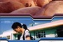 Affiche du film Le Jour où le cochon est tombé dans le puits