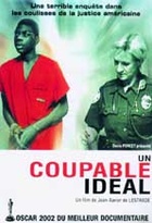 Affiche miniature du film Un coupable idéal