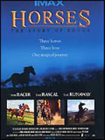 Affiche du film Trois chevaux, trois destins