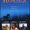Affiche du film Trois chevaux, trois destins - Trois chevaux, trois destins 