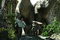 adrien brody fuyant - King Kong