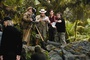 jack black colin hanks peter jackson realisateur - King Kong