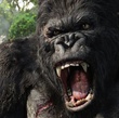 king kong en colere - King Kong