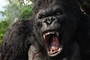 king kong en colere - King Kong
