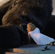 king kong mourant sous les yeux de naomi watts - King Kong