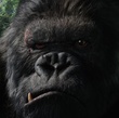 king kong - King Kong
