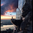 naomie watts king kong