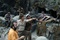 tournage du film king kong avec peter jackson adrien brody  thomas kretschmann jack black