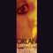 Affiche du film Orlan, carnal art - Orlan, carnal art 
