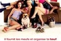 Affiche du film American party - Van Wilder, relations publiques