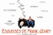 Affiche du film Esquisses de Franck Gehry