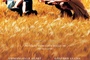 Affiche du film Les Egarés