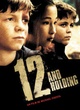 Affiche du film Twelve and holding