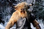 animal du monde magique 4 - Le Monde De Narnia - Chapitre 1