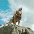 aslan rugissant - Le Monde De Narnia - Chapitre 1