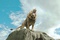 aslan rugissant - Le Monde De Narnia - Chapitre 1