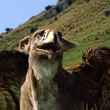 le monde de narnia - Le Monde De Narnia - Chapitre 1