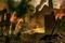 story board 8 - Le Monde De Narnia - Chapitre 1
