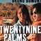 Affiche du film Twentynine Palms - Twentynine Palms 