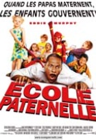Affiche miniature du film L'école paternelle