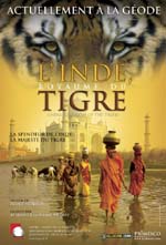 Affiche du film L'inde, royaume du tigre