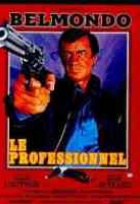 Affiche miniature du film Le professionnel