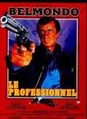 Le professionnel
