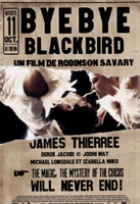 Affiche miniature du film Bye Bye Blackbird