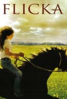 Affiche miniature du film Flicka