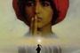Affiche du film Les baliseurs du désert
